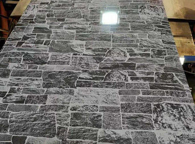 0Endüstriyel için.2mm Premium Baskılı Çelik Plakası